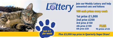 cats protection lottery odds|Mitcham Cats Protection weekly lottery.